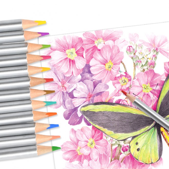 Colored pencils WB-9018-24