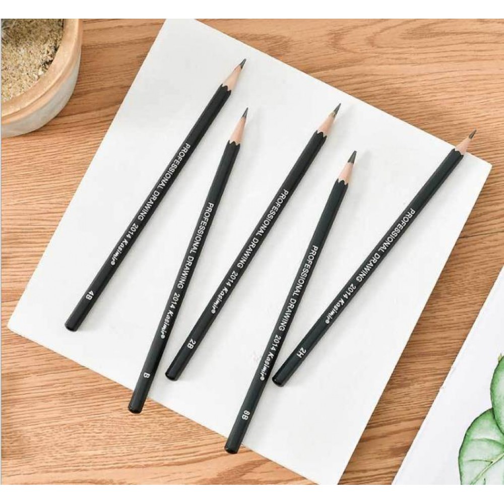 Drawing Pencils 14pcs/set 12B 10B 8B 7B 6B 5B 4B 3B 2B B HB 2H 4H 6H  Graphite Sketching Pencils Professional Sketch Pencils Set for Drawing 