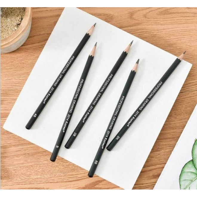 Professional Drawing Sketching Pencil Set 14 Pcs Drawing Pencils 12B 10B 8B 7B 6B 5B 4B 3B 2B 1B HB 2H 4H 6H Graphite Pencil