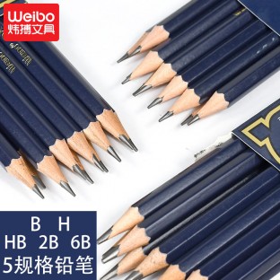 Drawing pencil with eraser topper 12 Pcs/box quality wood Personality sharpened pencils for students environmental protection 6B